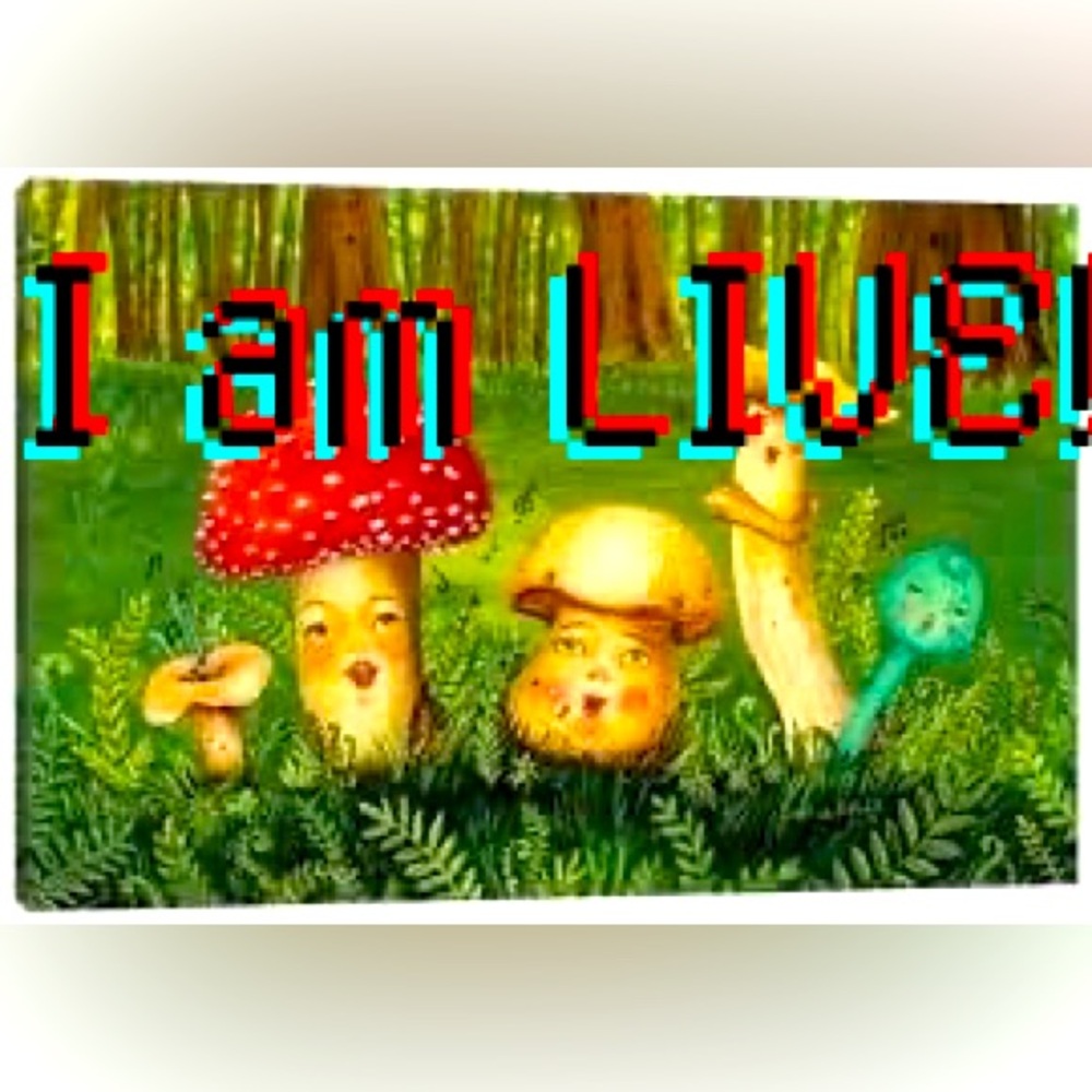 ❤️ LIKE this listing to be notified when I’m LIVE 🍄